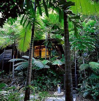 Cape Tribulation Resort & Spa Exterior foto