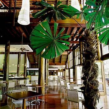 Cape Tribulation Resort & Spa Exterior foto